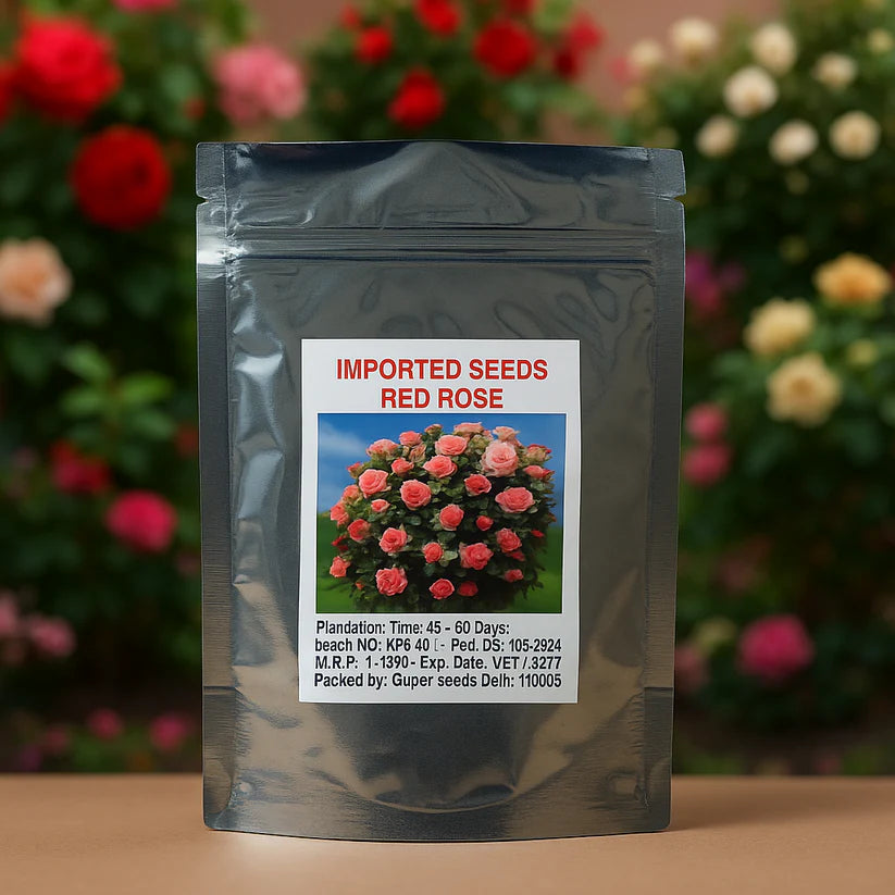 Elegant Climbing Rose Flower Seeds