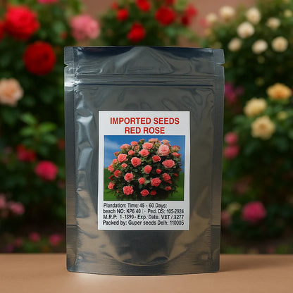 Elegant Climbing Rose Flower Seeds